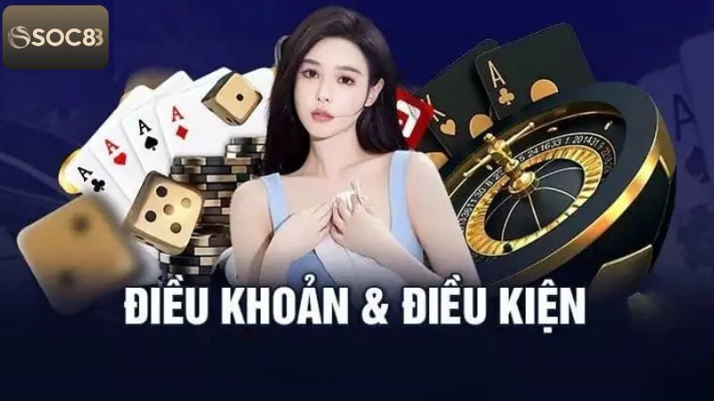 Giới thiệu vài nét cơ bản về điều khoản và điều kiện