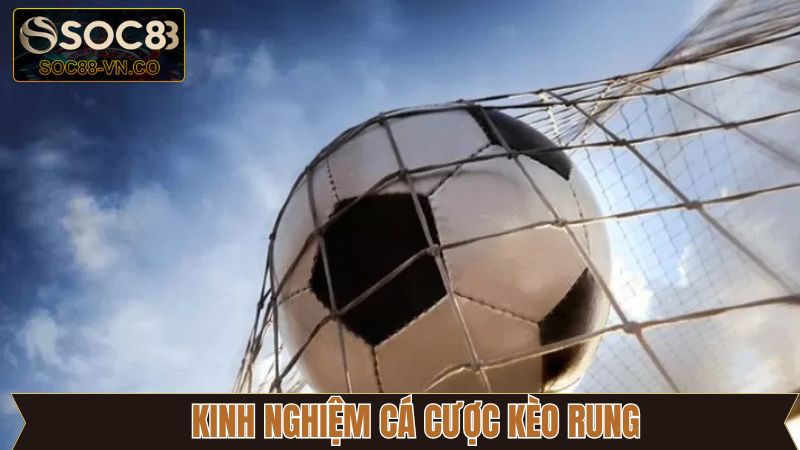 Bật mí kinh nghiệm đánh kèo rung thắng lớn