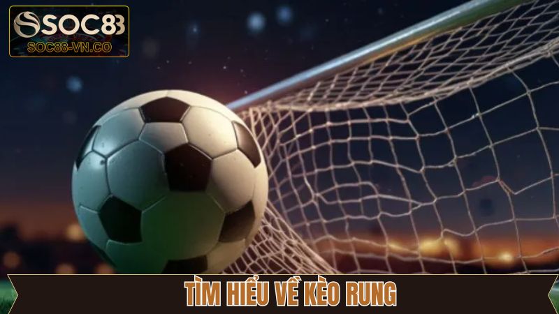 Thông tin khái niệm kèo rung bóng đá